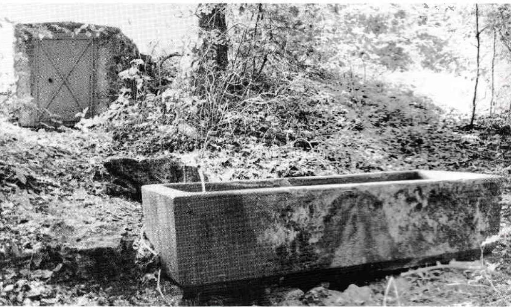 alter Schulbrunnentrog