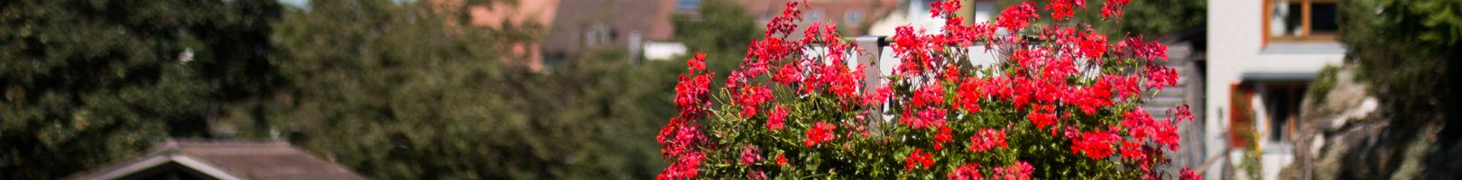 Willkommen in Titterten