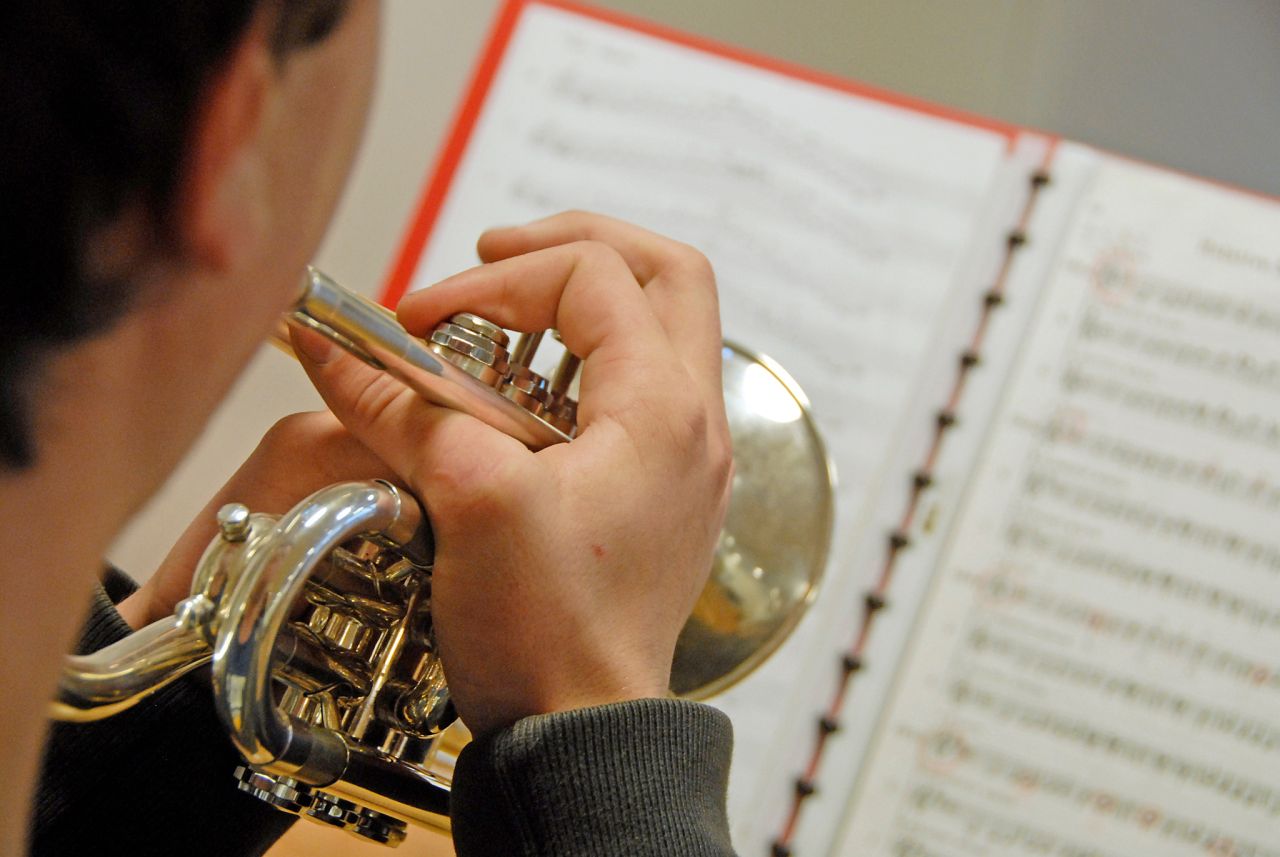 Musikschule beider Frenkentäler