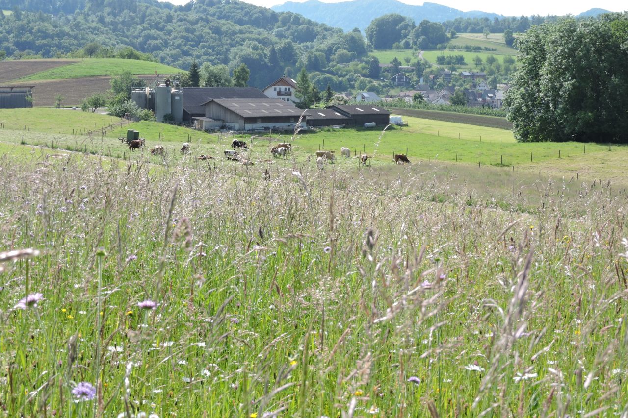 Mitten in der Natur!